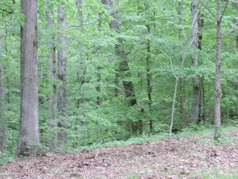 Exterior - 1614 Hwy 5, Hickory Flat, MS 38633 photo 14 of 17