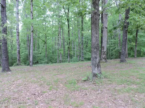 Exterior - 1614 Hwy 5, Hickory Flat, MS 38633 photo 6 of 17
