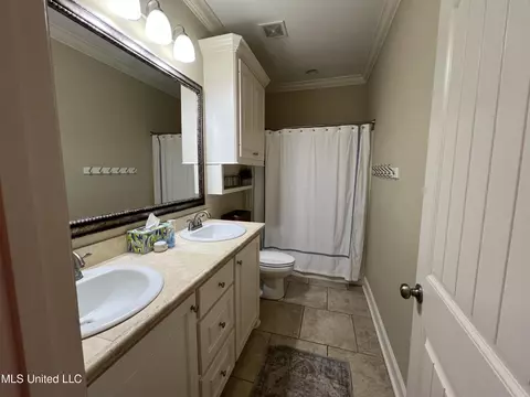Bath - 111 Wagner Way, Madison, MS 39110 photo 6 of 6