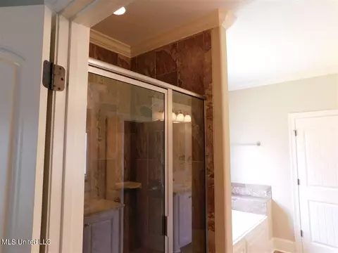 Bath - 111 Wagner Way, Madison, MS 39110 photo 3 of 6