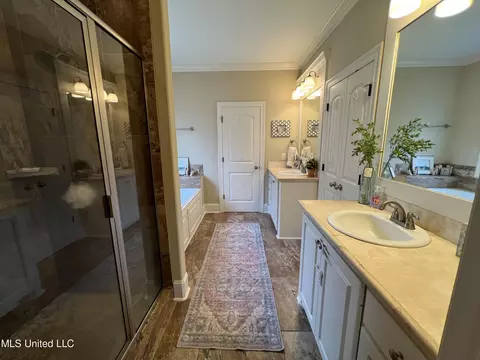 Bath - 111 Wagner Way, Madison, MS 39110 photo 1 of 6