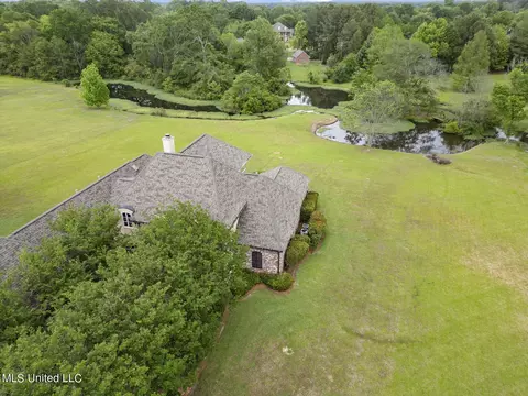 View/Area - 551 Twin Cedars Dr, Madison, MS 39110 photo 4 of 5