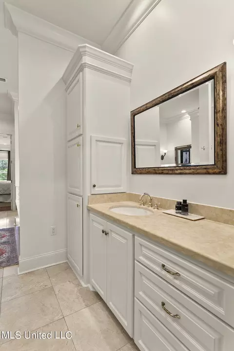 Bath - 551 Twin Cedars Dr, Madison, MS 39110 photo 1 of 7