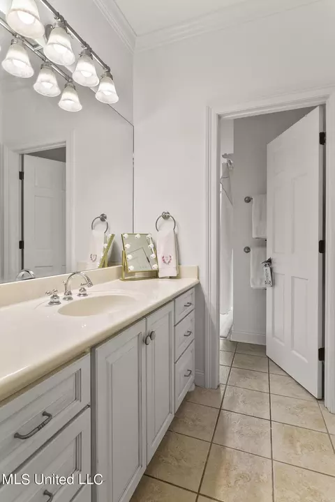 Bath - 551 Twin Cedars Dr, Madison, MS 39110 photo 6 of 7