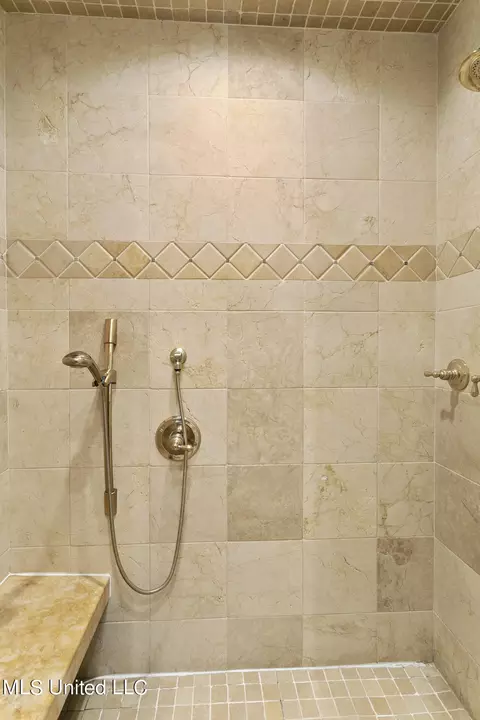Bath - 551 Twin Cedars Dr, Madison, MS 39110 photo 2 of 7