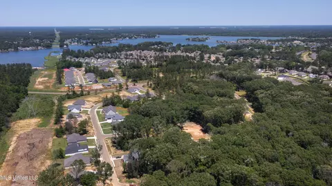 View/Area - 105 Griffis Ln, Madison, MS 39110 photo 2 of 3