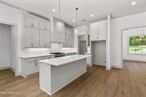 Other - 105 Griffis Ln, Madison, MS 39110 photo 3 of 10