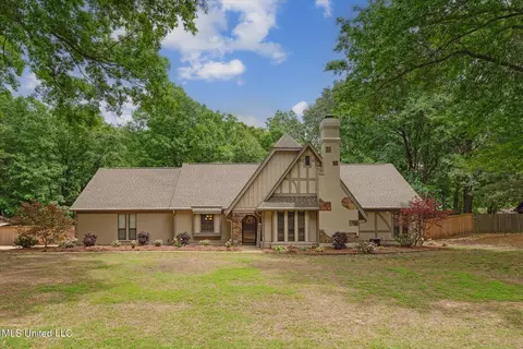 2684 Birch Island Dr, Nesbit, MS 38651 photo 2