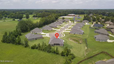 101 Porter Ridge Dr, Canton, MS 39046 photo 53