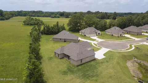 101 Porter Ridge Dr, Canton, MS 39046 photo 49