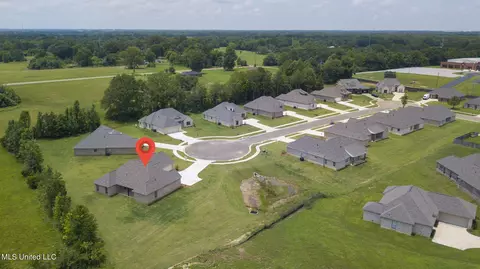 101 Porter Ridge Dr, Canton, MS 39046 photo 55
