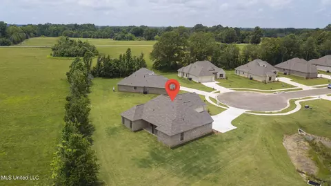 101 Porter Ridge Dr, Canton, MS 39046 photo 50