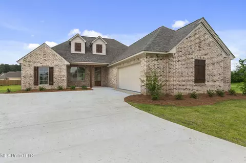 101 Porter Ridge Dr, Canton, MS 39046 photo 4