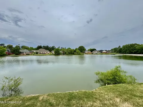 1157 Lake View Dr, Hernando, MS 38632 photo 43