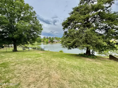 1157 Lake View Dr, Hernando, MS 38632 photo 42