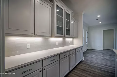 Entry Way - 208 Baleigh Dr #LOT 5, Canton, MS 39046 photo 1 of 1