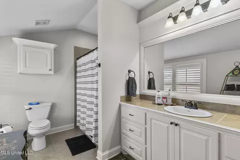 Bath - 148 Mullherrin Dr, Madison, MS 39110 photo 8 of 8