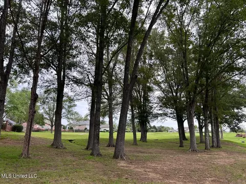 Other - 503 Pinecrest Pl, Madison, MS 39110 photo 14 of 18