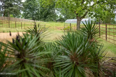 Green Gable Drive, Terry, MS 39170