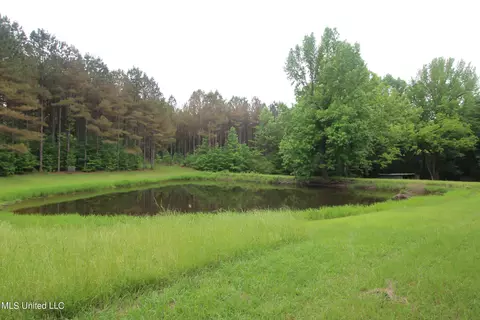 Other - 1275 Kennebrew Road Rd, Jackson, MS 39209 photo 7 of 7