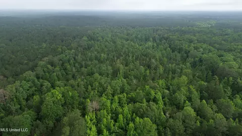 1885 Shiloh Rd, Brandon, MS 39042 photo 2