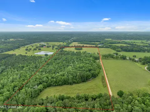 15464 Lott Mccarty Rd, Picayune, MS 39466 photo 33