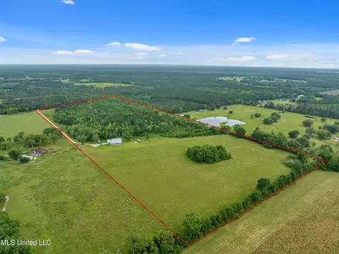 15464 Lott Mccarty Rd, Picayune, MS 39466 photo 35