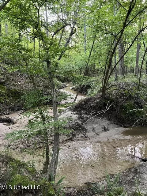 00 Ashley Rd, Brandon, MS 39042