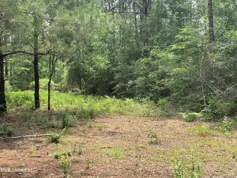 1247 Moffett Annex Rd, Lucedale, MS 39452