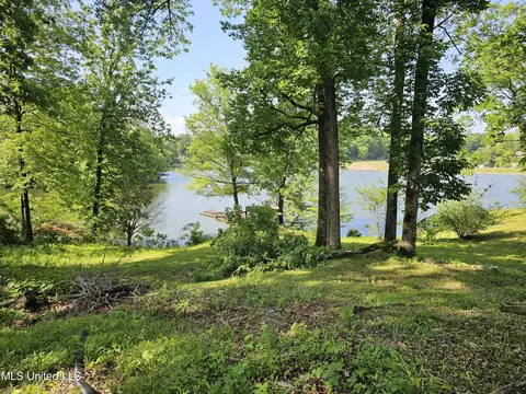 10841 Loch Lomond Cir, Hernando, MS 38632 photo 5