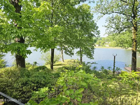 10841 Loch Lomond Cir, Hernando, MS 38632 photo 15
