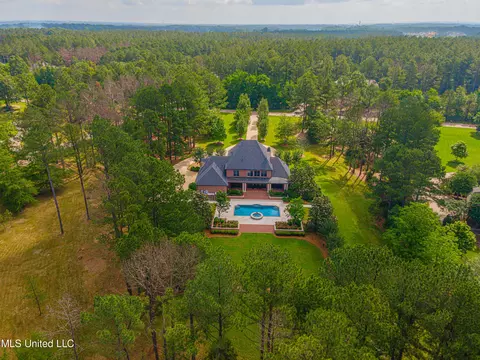 View/Area - 321 Johnstone Dr, Madison, MS 39110 photo 2 of 4