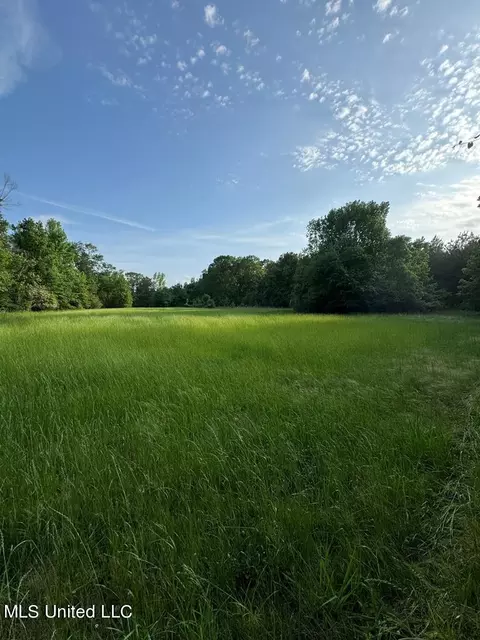 Ogden Road, Woodville, MS 39669