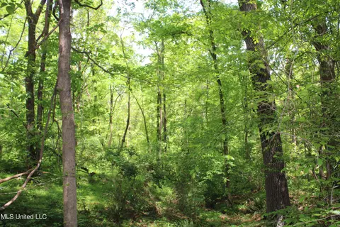 1800 Highway 4 E, Ashland, MS 38603 photo 9