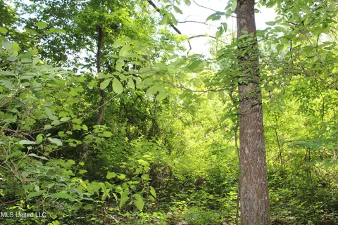 1800 Highway 4 E, Ashland, MS 38603 photo 7