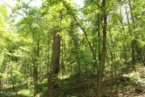 1800 Highway 4 E, Ashland, MS 38603 photo 13