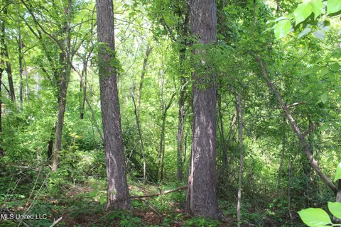 1800 Highway 4 E, Ashland, MS 38603