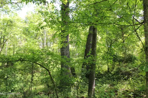 1800 Highway 4 E, Ashland, MS 38603 photo 6