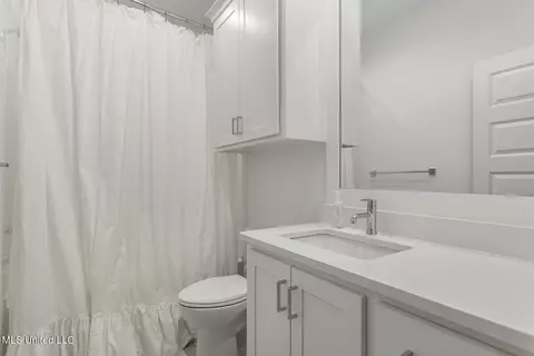 141 Saddle Brook Cv, Madison, MS 39110 photo 41