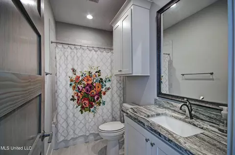 Bath - 142 Carrington Dr, Madison, MS 39110 photo 3 of 10