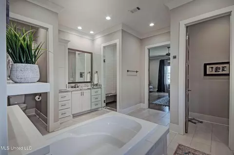 Bath - 142 Carrington Dr, Madison, MS 39110 photo 10 of 10