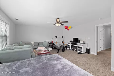 Other - 4651 Bakersfield Trce, Nesbit, MS 38651 photo 4 of 6