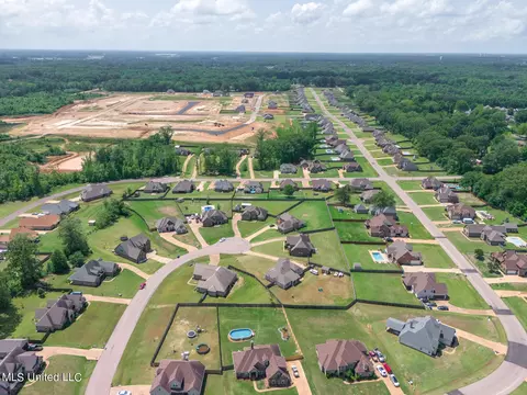 View/Area - 4651 Bakersfield Trce, Nesbit, MS 38651 photo 7 of 9