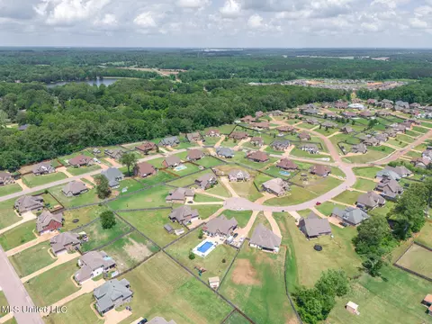 View/Area - 4651 Bakersfield Trce, Nesbit, MS 38651 photo 6 of 9