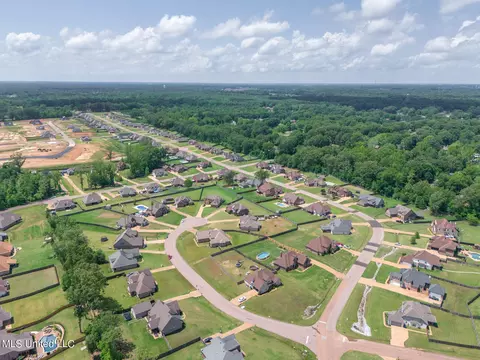 View/Area - 4651 Bakersfield Trce, Nesbit, MS 38651 photo 8 of 9