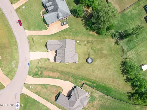 View/Area - 4651 Bakersfield Trce, Nesbit, MS 38651 photo 5 of 9