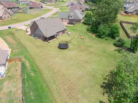 View/Area - 4651 Bakersfield Trce, Nesbit, MS 38651 photo 4 of 9