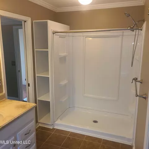 Bath - 531 Brookstone Dr, Madison, MS 39110 photo 1 of 2