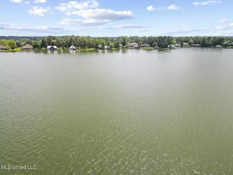 View/Area - 119 Northshore Pt, Madison, MS 39110 photo 2 of 8
