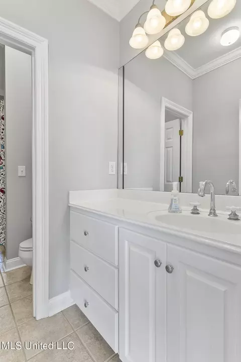 Bath - 119 Northshore Pt, Madison, MS 39110 photo 8 of 10
